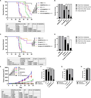 Combination of Bempegaldesleukin and Anti-CTLA-4 Prevents Metastatic Dissemination After Primary Resection or Radiotherapy in a Preclinical Model of Non-Small Cell Lung Cancer